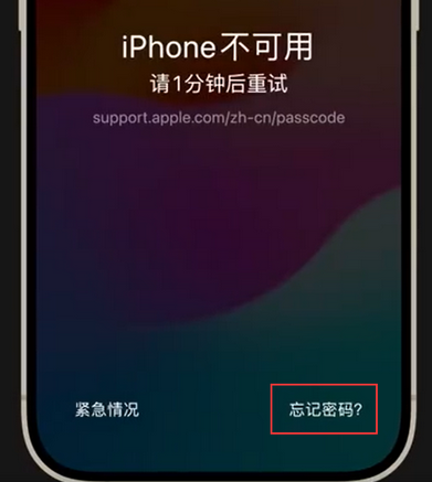 天水苹果手机密码维修分享iPhone忘记了刚设置的密码 